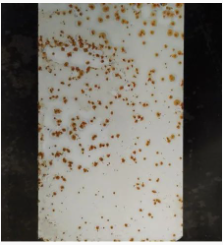 Ϳ÷WPЩNοƌWʹ Ϳھ,coatingol.com